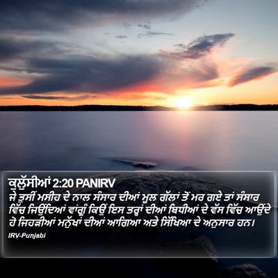 ਕੁਲੁੱਸੀਆਂ 2:20 PANIRV Bible Verse Image
