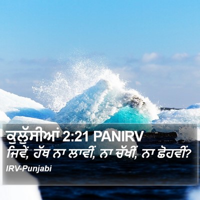 ਕੁਲੁੱਸੀਆਂ 2:21 PANIRV Bible Verse Image