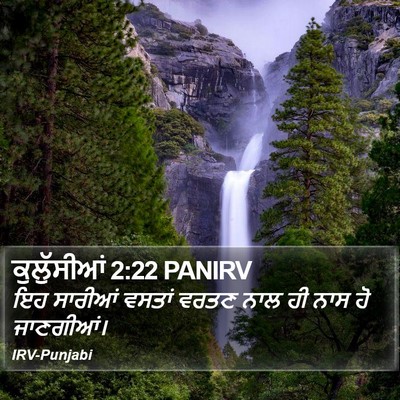 ਕੁਲੁੱਸੀਆਂ 2:22 PANIRV Bible Verse Image