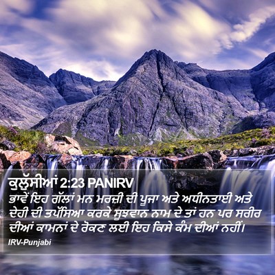 ਕੁਲੁੱਸੀਆਂ 2:23 PANIRV Bible Verse Image