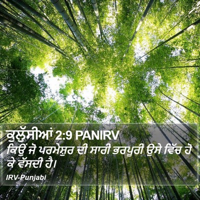 ਕੁਲੁੱਸੀਆਂ 2:9 PANIRV Bible Verse Image