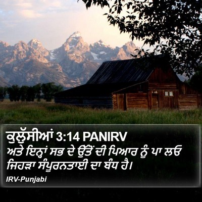 ਕੁਲੁੱਸੀਆਂ 3:14 PANIRV Bible Verse Image