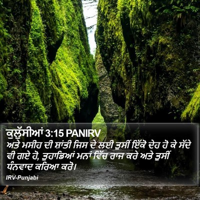 ਕੁਲੁੱਸੀਆਂ 3:15 PANIRV Bible Verse Image