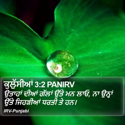 ਕੁਲੁੱਸੀਆਂ 3:2 PANIRV Bible Verse Image