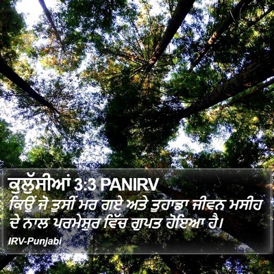 ਕੁਲੁੱਸੀਆਂ 3:3 PANIRV Bible Verse Image