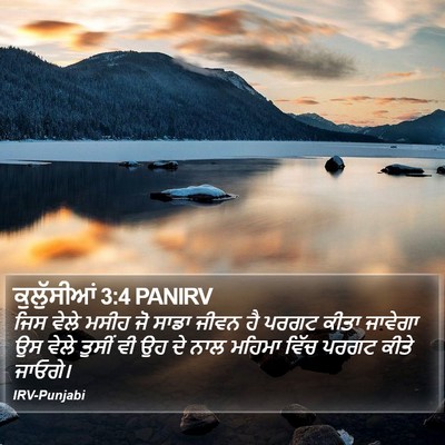 ਕੁਲੁੱਸੀਆਂ 3:4 PANIRV Bible Verse Image