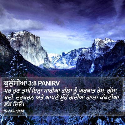 ਕੁਲੁੱਸੀਆਂ 3:8 PANIRV Bible Verse Image