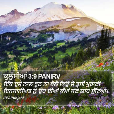 ਕੁਲੁੱਸੀਆਂ 3:9 PANIRV Bible Verse Image