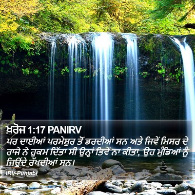 ਖ਼ਰੋਜ 1:17 PANIRV Bible Verse Image