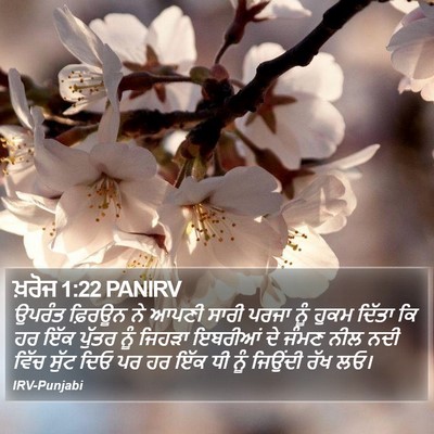 ਖ਼ਰੋਜ 1:22 PANIRV Bible Verse Image