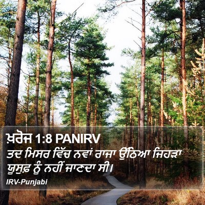 ਖ਼ਰੋਜ 1:8 PANIRV Bible Verse Image