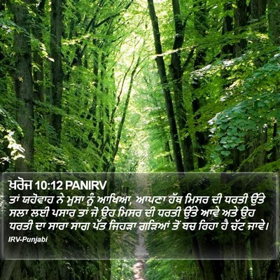 ਖ਼ਰੋਜ 10:12 PANIRV Bible Verse Image