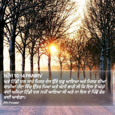 ਖ਼ਰੋਜ 10:14 PANIRV Bible Verse Image