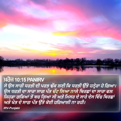 ਖ਼ਰੋਜ 10:15 PANIRV Bible Verse Image