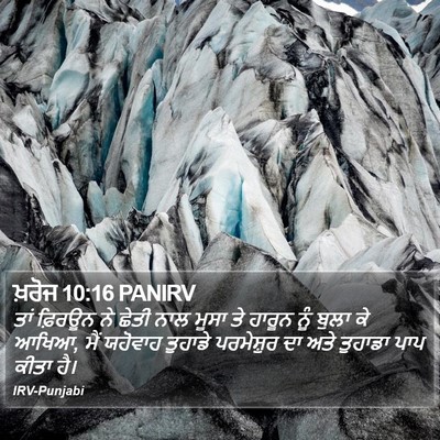 ਖ਼ਰੋਜ 10:16 PANIRV Bible Verse Image