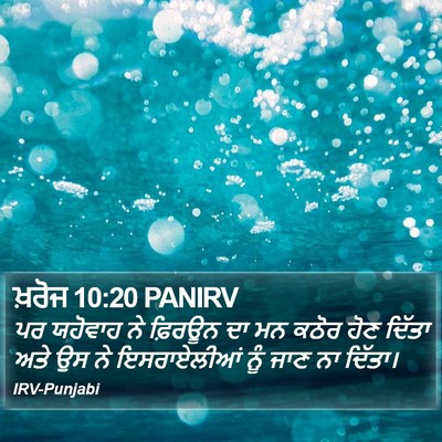 ਖ਼ਰੋਜ 10:20 PANIRV Bible Verse Image