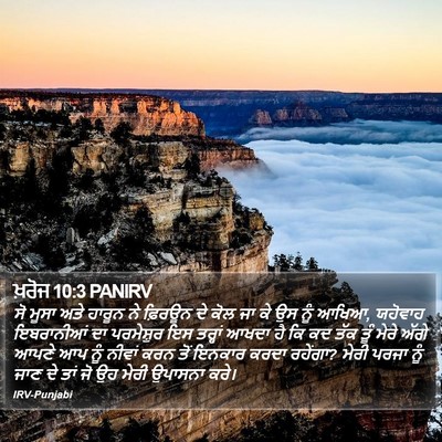 ਖ਼ਰੋਜ 10:3 PANIRV Bible Verse Image