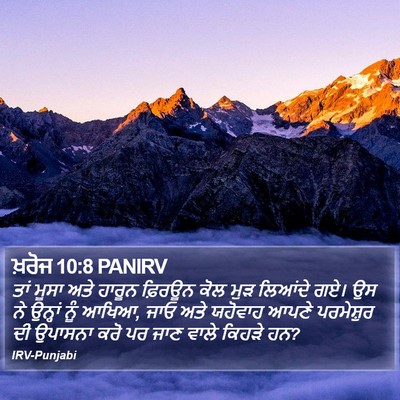 ਖ਼ਰੋਜ 10:8 PANIRV Bible Verse Image