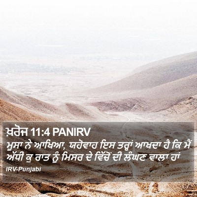 ਖ਼ਰੋਜ 11:4 PANIRV Bible Verse Image