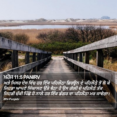ਖ਼ਰੋਜ 11:5 PANIRV Bible Verse Image