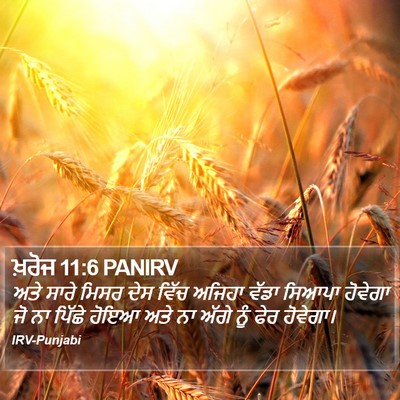 ਖ਼ਰੋਜ 11:6 PANIRV Bible Verse Image