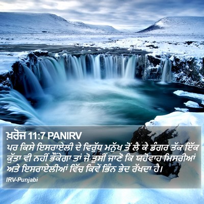 ਖ਼ਰੋਜ 11:7 PANIRV Bible Verse Image