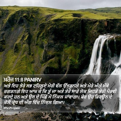ਖ਼ਰੋਜ 11:8 PANIRV Bible Verse Image