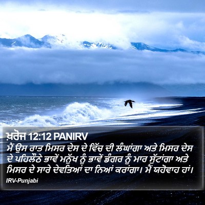 ਖ਼ਰੋਜ 12:12 PANIRV Bible Verse Image