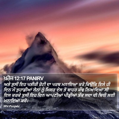 ਖ਼ਰੋਜ 12:17 PANIRV Bible Verse Image