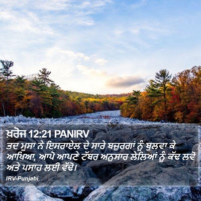 ਖ਼ਰੋਜ 12:21 PANIRV Bible Verse Image
