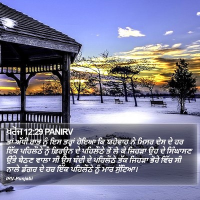 ਖ਼ਰੋਜ 12:29 PANIRV Bible Verse Image