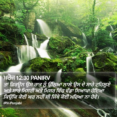 ਖ਼ਰੋਜ 12:30 PANIRV Bible Verse Image