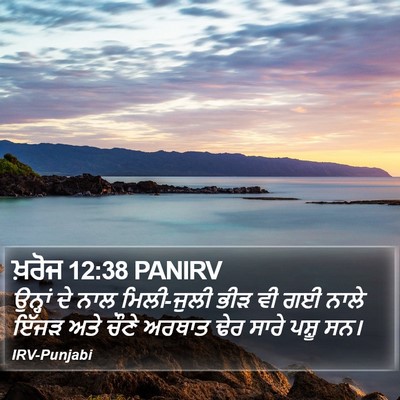 ਖ਼ਰੋਜ 12:38 PANIRV Bible Verse Image
