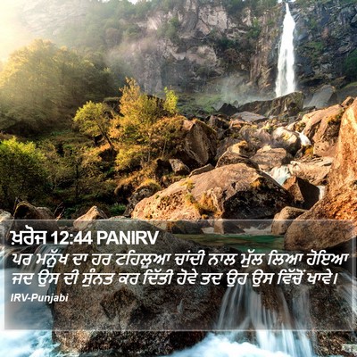 ਖ਼ਰੋਜ 12:44 PANIRV Bible Verse Image