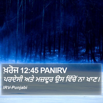 ਖ਼ਰੋਜ 12:45 PANIRV Bible Verse Image