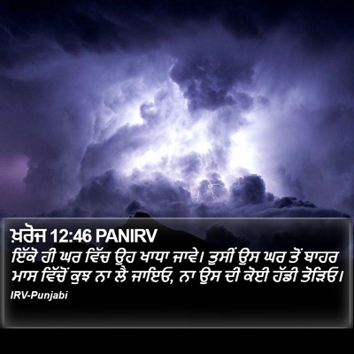 ਖ਼ਰੋਜ 12:46 PANIRV Bible Verse Image