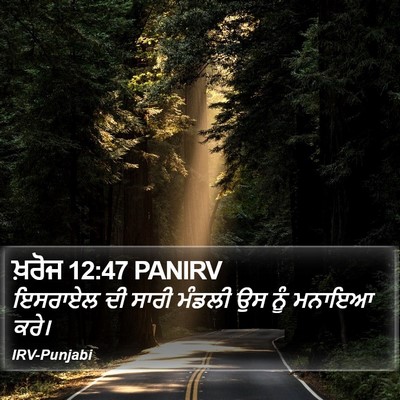 ਖ਼ਰੋਜ 12:47 PANIRV Bible Verse Image