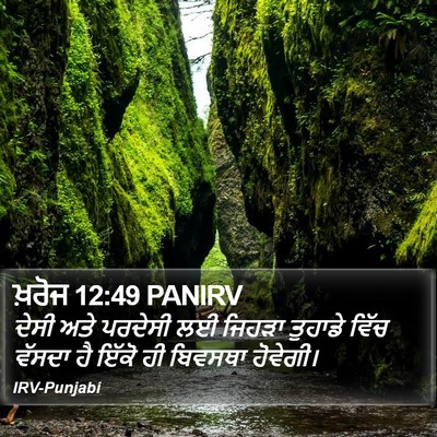 ਖ਼ਰੋਜ 12:49 PANIRV Bible Verse Image