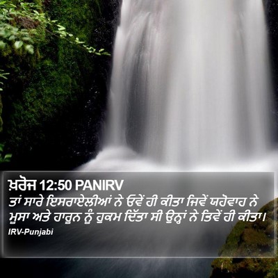 ਖ਼ਰੋਜ 12:50 PANIRV Bible Verse Image