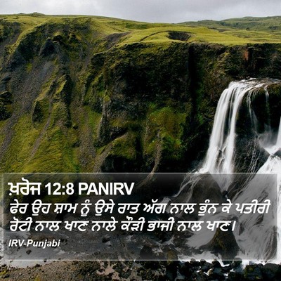 ਖ਼ਰੋਜ 12:8 PANIRV Bible Verse Image