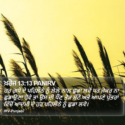 ਖ਼ਰੋਜ 13:13 PANIRV Bible Verse Image