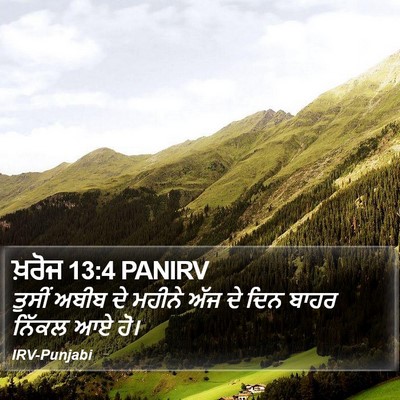 ਖ਼ਰੋਜ 13:4 PANIRV Bible Verse Image