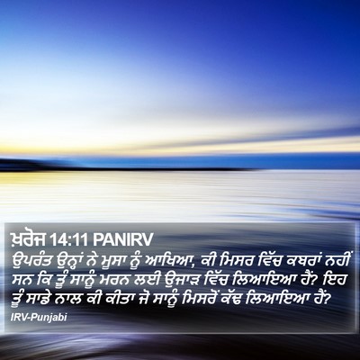 ਖ਼ਰੋਜ 14:11 PANIRV Bible Verse Image