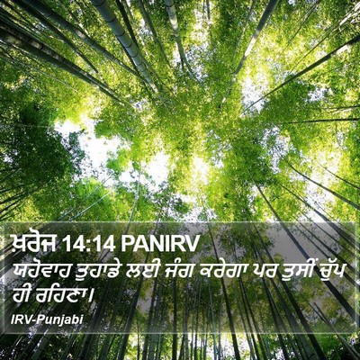 ਖ਼ਰੋਜ 14:14 PANIRV Bible Verse Image