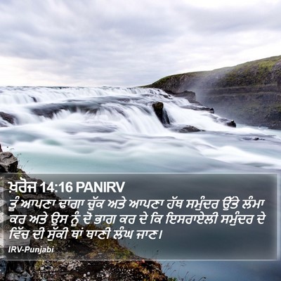 ਖ਼ਰੋਜ 14:16 PANIRV Bible Verse Image