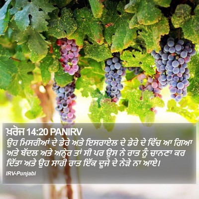 ਖ਼ਰੋਜ 14:20 PANIRV Bible Verse Image