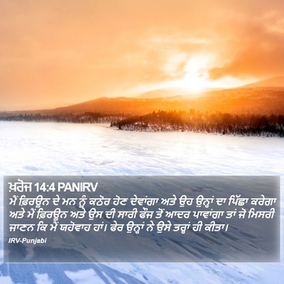 ਖ਼ਰੋਜ 14:4 PANIRV Bible Verse Image