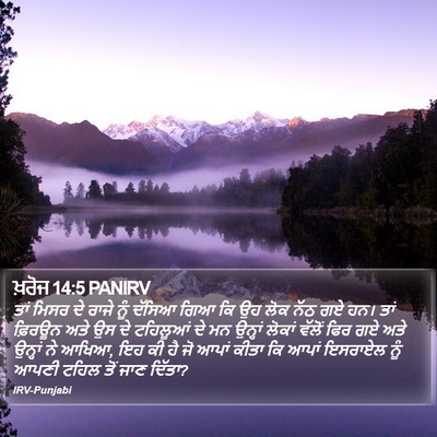ਖ਼ਰੋਜ 14:5 PANIRV Bible Verse Image