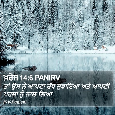 ਖ਼ਰੋਜ 14:6 PANIRV Bible Verse Image