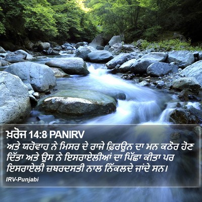 ਖ਼ਰੋਜ 14:8 PANIRV Bible Verse Image